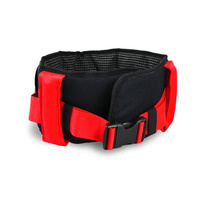 Transfer Belt