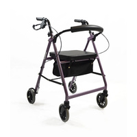 Seat Walker Lilac