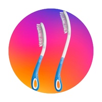 Long Handle Brush